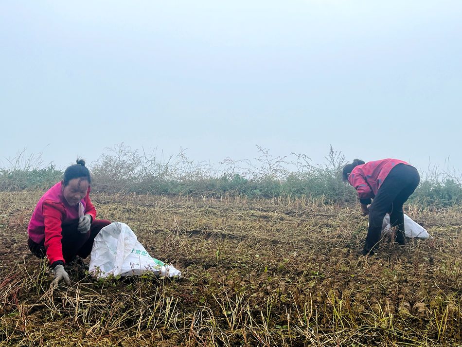 微信图片_20251028130322_74_21